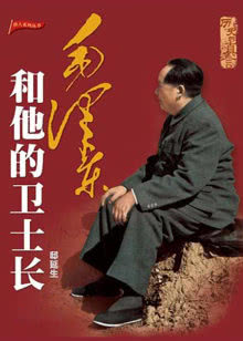 冲激21