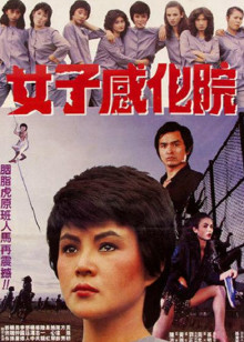 青春盛宴