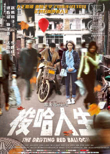 雏菊2006