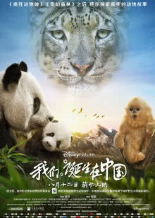 跟我的前妻谈恋爱